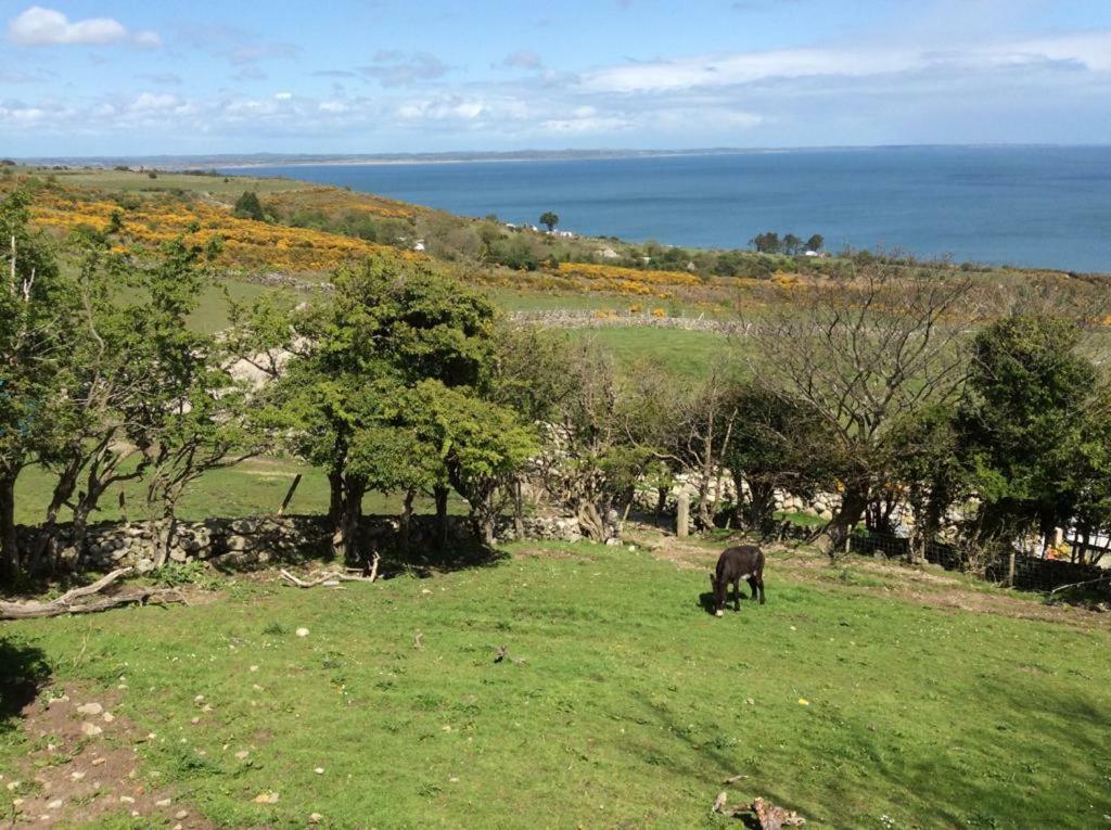 Stunning Views At Ballagh Cottage Newcastle Newcastle  Exterior photo